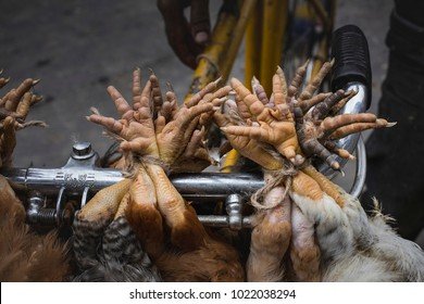A look at chicken road spel
